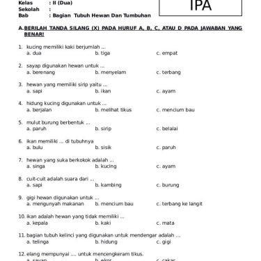 7 Rahasia Nilai Sempurna Soal UTS Semester 2 Kelas 2 IPA yang Jarang Diketahui Orang Tua
