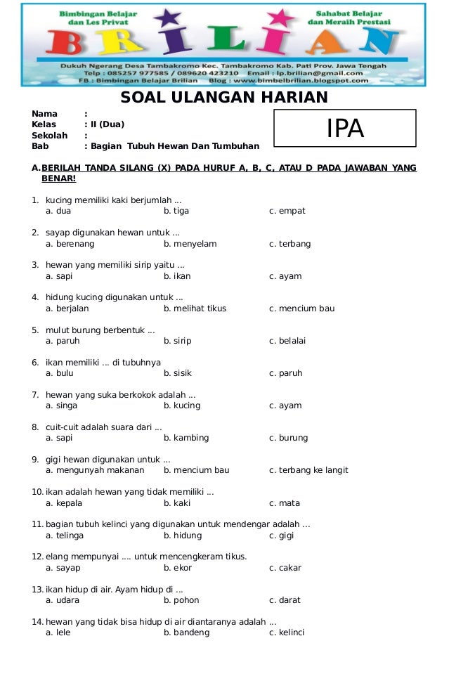 7 Rahasia Nilai Sempurna Soal UTS Semester 2 Kelas 2 IPA yang Jarang Diketahui Orang Tua